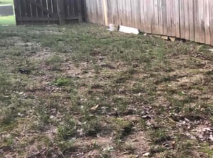 Leaf Removal by Mark Cravens for Kelsey S. in Benton, AR