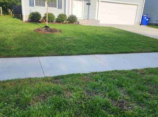 Janelle H.'s Lawn Mowing service result