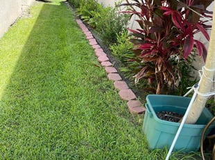 Brad S.'s Lawn Mowing service result