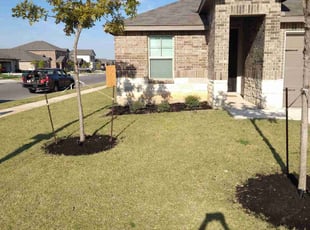 Weeding by Dawn Bourland for Alice M. in Selma, TX