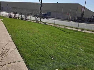 Brandon M.'s Lawn Service service result