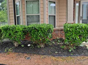 Bush Trimming by Jason Times for Tamika S. in Fayetteville, GA
