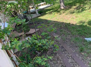 Leaf Removal by Jose Luis Rosas for Roger C. in Austin, TX