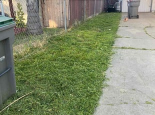 Missy R.'s Lawn Mowing service result