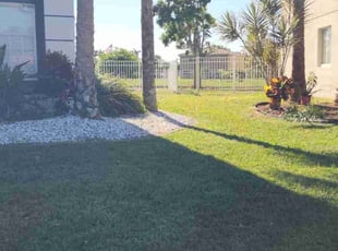 Clara H.'s Grass Cutting service result