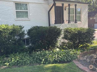 Bush Trimming by Emanuel Johnson for Katie W. in Omaha, NE