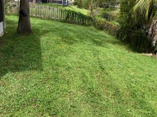 Mary Jane F P.'s Lawn Care service result