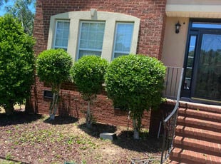 Bush Trimming by Vanessa Robinson for George G. in Evans, GA