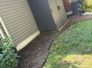 Weeding by Mohammad Haidari for Phil R. in Springfield, VA