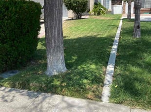 Concepcion C.'s Lawn Mowing service result