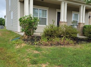Bush Trimming by Georgiy Bulkhak for Jason F. in Stallings, NC