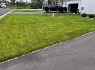 Cory C.'s Yard Cutting service result