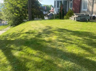 Lisa S.'s Lawn Service service result