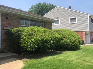 Bush Trimming by Rickey Bennett for Kenneth R. in Drexel Hill, PA