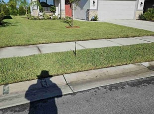 Frank D.'s Lawn Care service result