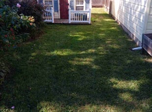 Deborah W.'s Lawn Mowing Service service result