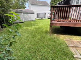 Betty W.'s Lawn Care service result