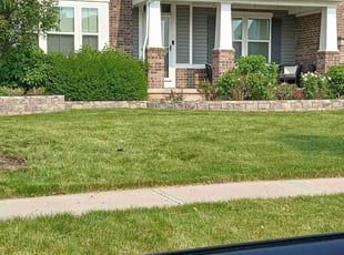 Weeding by Kassidy White for Brandy R. in North Ridgeville, OH