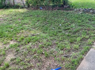 Cleanups by Brandon Miller for Ed C. in New Carrollton, MD