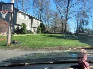 Lou Ann S.'s Lawn Care service result