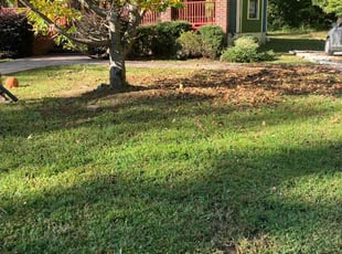 Leaf Removal by Carol Dark for Rhonda G. in Charlotte, NC