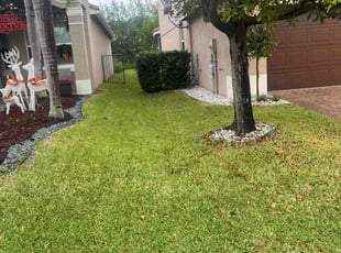 Chet H.'s Lawn Care service result