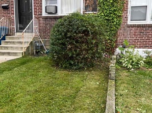 Bush Trimming by Cory Clark for Mark S. in Wilmington, DE