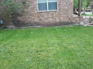 Ashley j.'s Lawn Mowing service result