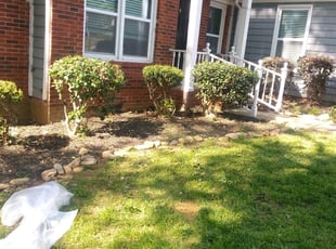 Bush Trimming by Adams Paiz for Rebecca G. in Charlotte, NC