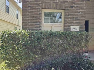 Bush Trimming by Ricardo Duca for Jay T. in Richmond, TX