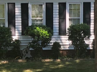 Bush Trimming by Recardo Hunter for Curt R. in Midlothian, VA