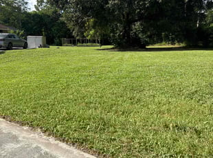 David C.'s Lawn Mowing Service service result