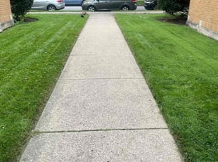 Cyril B.'s Lawn Service service result