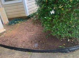 Leaf Removal by Glenda Portillo for Michaela S. in McDonough, GA