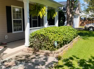 Bush Trimming by William Sellers for Michael G. in Ladson, SC