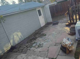 Leaf Removal by Alicia Joanna Narayan for Nic L. in Sacramento, CA