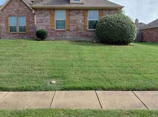 Bush Trimming by Corsandra Phelps for Amber D. in Red Oak, TX
