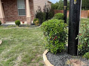 Bush Trimming by Aldo Mancha for Christopher M. in San Antonio, TX