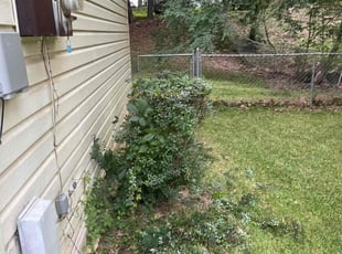 Bush Trimming by Nicholas Smith for Tremaine T. in Morrow, GA