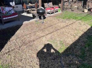 Leaf Removal by Juan Antonio Perez Vazquez for Alexis S. in Farmers Branch, TX