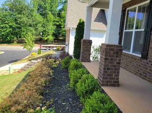 Bush Trimming by Daniela Budu for William B. in Greenville County, SC