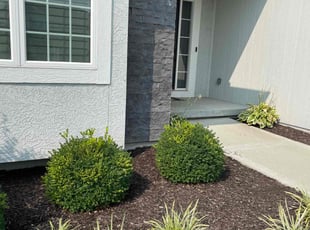 Weeding by Scott Culala for Christy K. in Olathe, KS