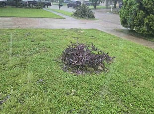 Bush Trimming by Hugo Melgar for Sandra G. in Houston, TX