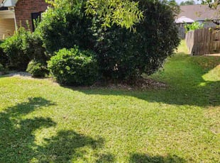 Joanne Z.'s Grass Cutting service result