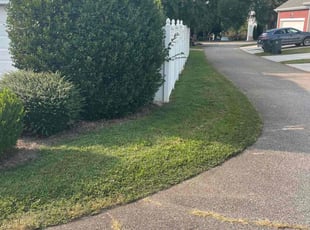 WILLIAM G.'s Grass Cutting service result