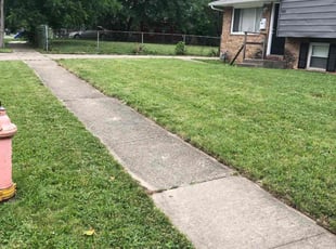 Cleanups by Steve Johnson for Constance B. in Columbus, OH