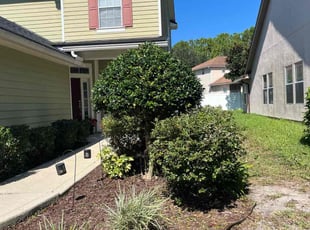 Weeding by Cass Coleman for Meredith E. in Jacksonville, FL