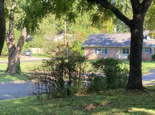 Bush Trimming by Brandon McDonald for Emily S. in Springfield, MO