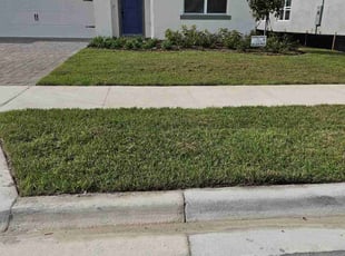 David L.'s Yard Cutting service result