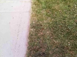 Karon C.'s Lawn Care service result